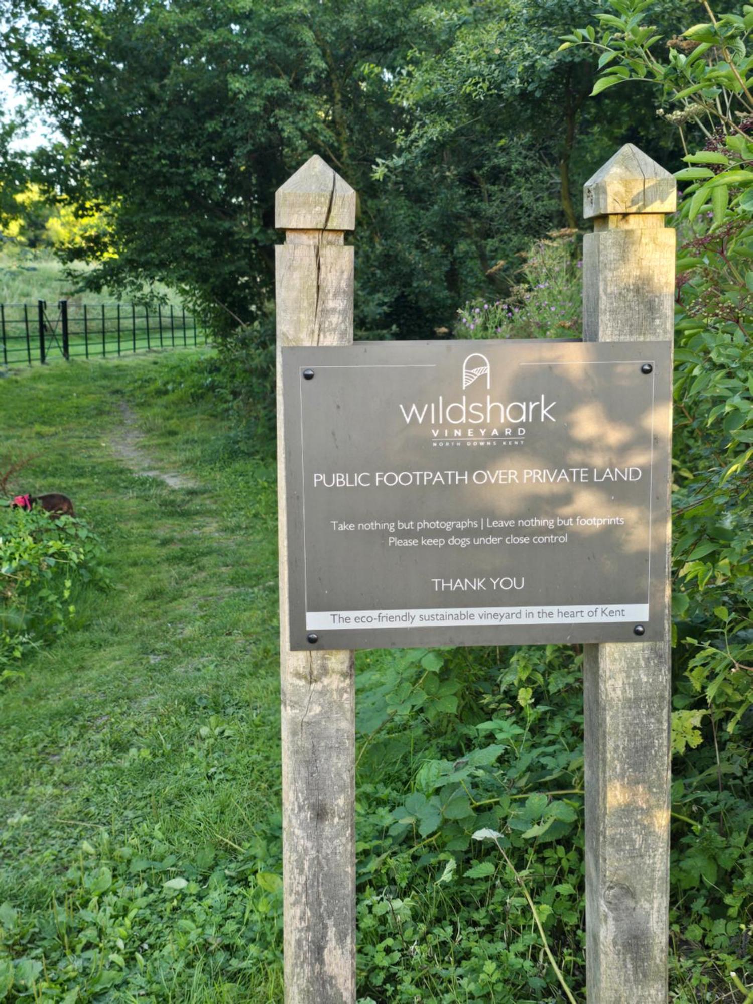 Willow Cottage In Idyllic Location Harrietsham Zewnętrze zdjęcie